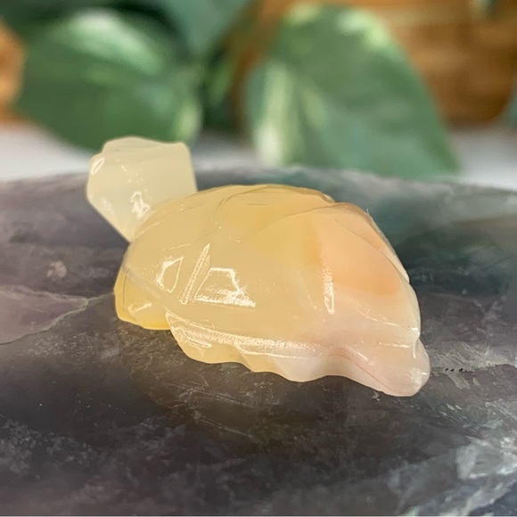 MINI Calcite Crystal Turtle Figurine Natural Stone Hand Carved Animal Tortoise - Picture 5 of 12